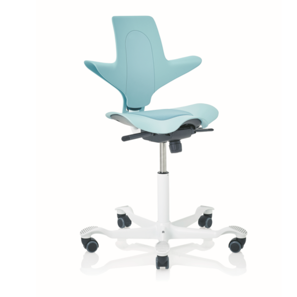 HAG CAPISCO PULS 8010 seagreen 200 mm Gasfeder - schnell geliefert