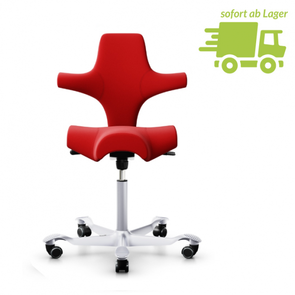 HAG Capisco 8106 rot Gasfeder 200 Gestell silber