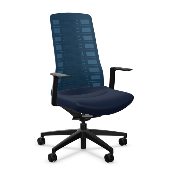 Interstuhl PURE PU213 schwarz komplett blau