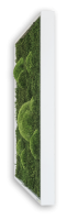 styleGREEN MOOSBILD VERLAUF WALD- UND KUGELMOOSBILD 140X40 cm