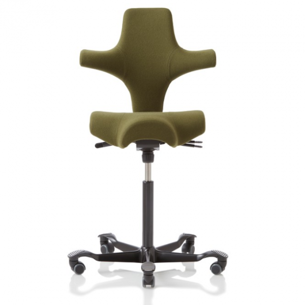 HAG Capisco 8106 Stoff Tonus Farbe 131