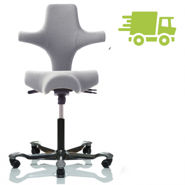 HAG Capisco 8106 Xtreme hellgrau mit Gestell Alu schwarz