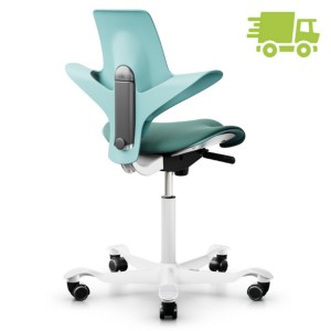 HAG CAPISCO PULS 8020 seagreen 200 mm Gasfeder HAG CAPISCO PULS 8020 seagreen 200 mm Gasfeder