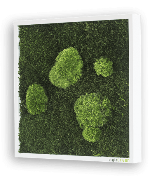 styleGREEN Moosbild 35x35 cm Profilansicht