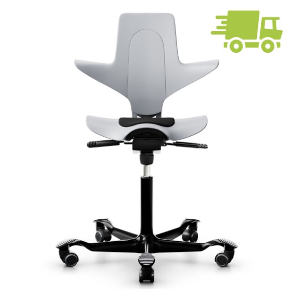 HAG Capisco Puls 8010 grau mit Gestell schwarz