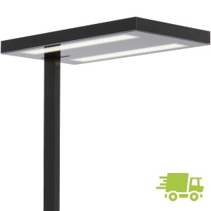 ABVERKAUF: GLAMOX Free-F LED Stehleuchte schwarz - dimmbar über Taster ABVERKAUF: GLAMOX Free-F LED Stehleuchte schwarz - dimmbar über Taster
