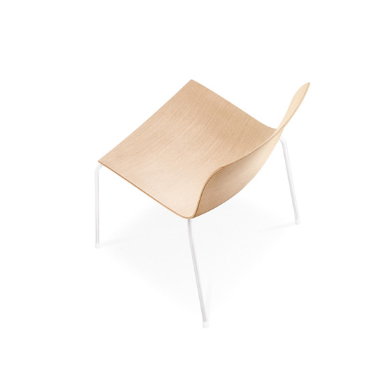 Arper CATIFA 46 0351 Stuhl Vierfuß Holzschale