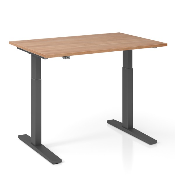 RWH Action Schreibtisch elektrisch verstellbar - Nussbaum - Breite 120 cm