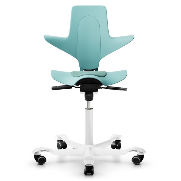 HAG Capisco Puls 8010 Seagreen Nexus 10 Gestell weiss