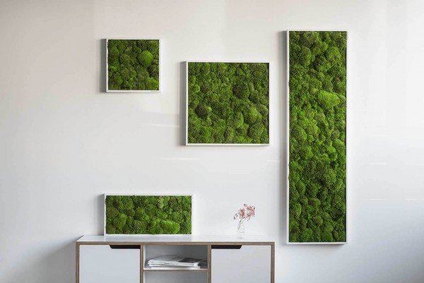 styleGREEN Kugelmoosbild 35 x 35 cm Beispielfoto
