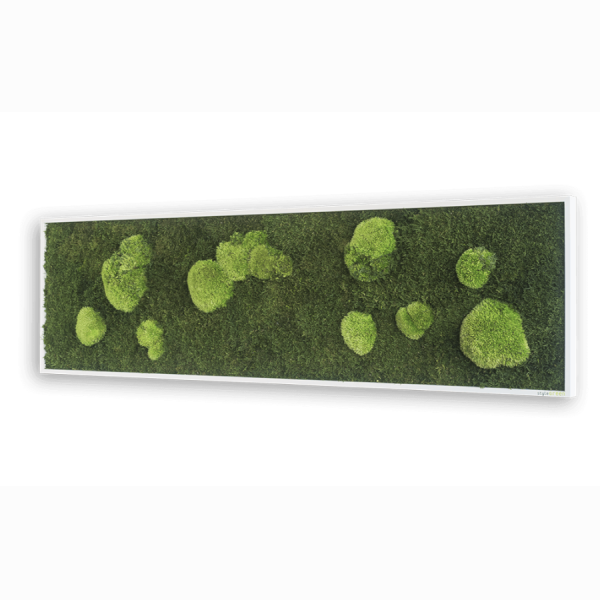 styleGREEN WALD- UND KUGELMOOSBILD 140X40 cm