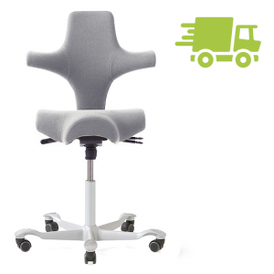 HAG Capisco 8106 hellgrau mit weißem Gestell HAG Capisco 8106 hellgrau mit weißem Gestell