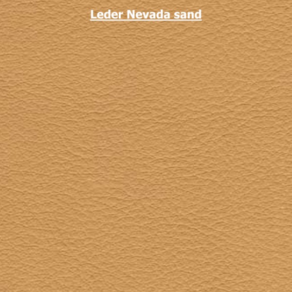 Leder Nevada sand