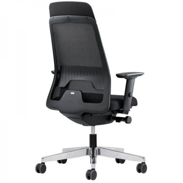 Interstuhl Aktionsmodell Ergonomic E242 - Rückansicht