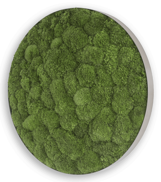 styleGREEN MOOSBILD: KUGELMOOS-ELLIPSOID 54CM