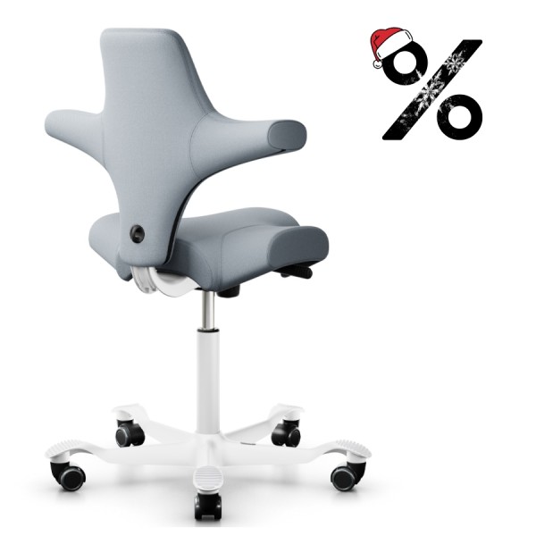 HAG Capisco 8106 - Stoff Select grau 