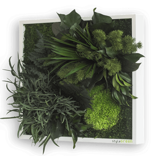 styleGREEN Pflanzeninsel 35X35CM