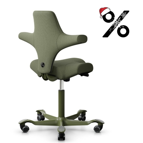 HAG CAPISCO 8106 | Designstoff Sirdal grün | Gestell Moss grey günstig online kaufen