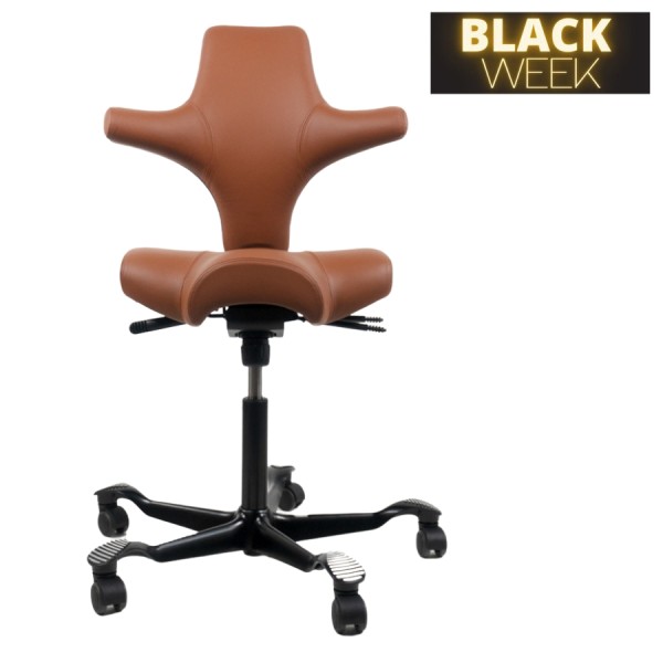 HAG CAPISCO 8106 | Leder Paloma Sonderfarbe coffee | Gestell schwarz günstig online kaufen