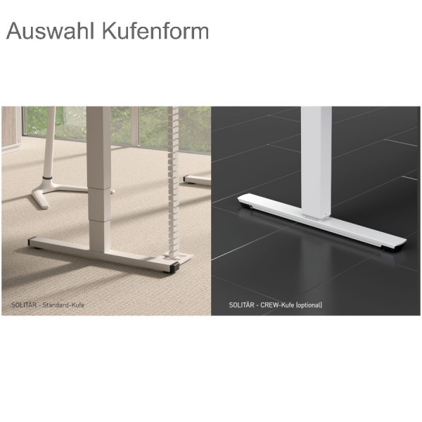 Auswahl Kufenform Solitär Palmberg
