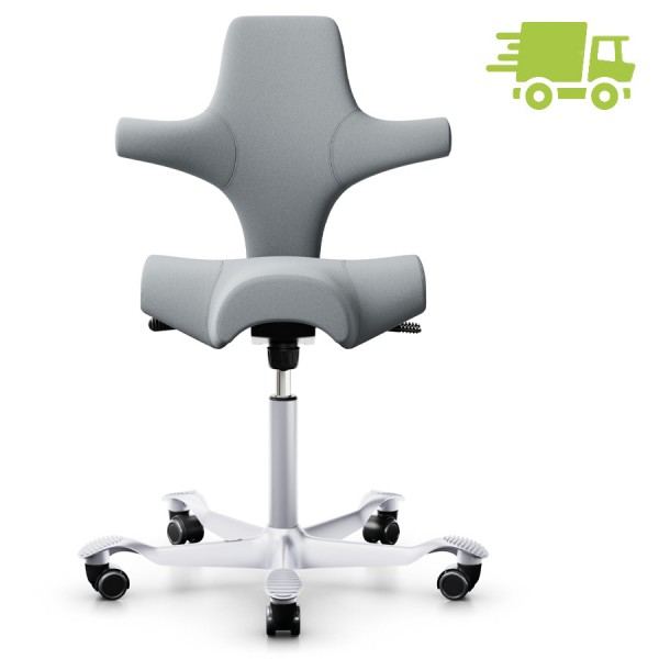 HAG Capisco 8106 Xtreme hellgrau mit Gestell Alu silber