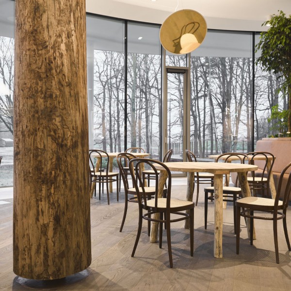 THONET 218 Bugholzstuhl Bistrostuhl | Rohrgeflecht-Sitz | Buche schwarz gebeizt THONET 218 Bugholzstuhl Bistrostuhl - Beispielbild