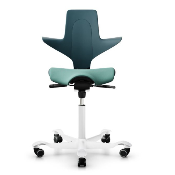 HAG Capisco Puls 8020 petrol white