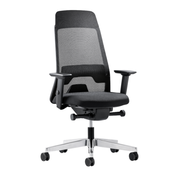 Interstuhl Aktionsmodell Ergonomic E242 - Frontansicht