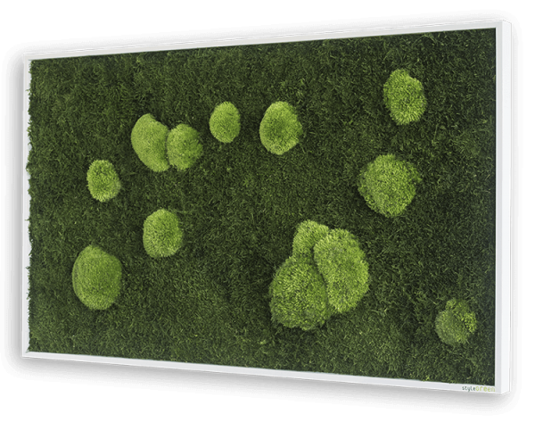 styleGREEN WALD- UND KUGELMOOSBILD 100X60 cm