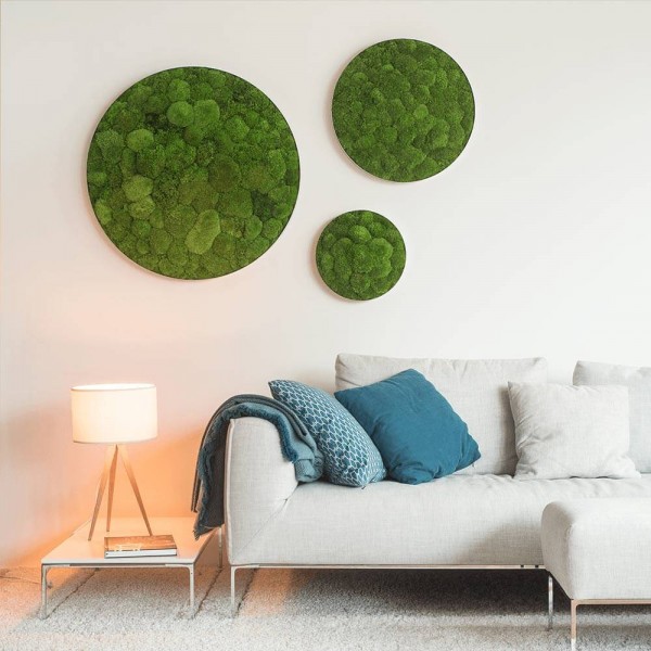 styleGREEN Moosbilder Trio rund 3er Set