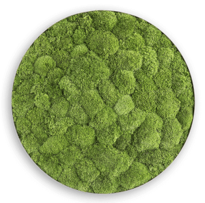 styleGREEN MOOSBILD: KUGELMOOS-ELLIPSOID 54CM styleGREEN MOOSBILD: KUGELMOOS-ELLIPSOID 54CM