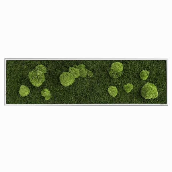 styleGREEN WALD- UND KUGELMOOSBILD 140X40 cm