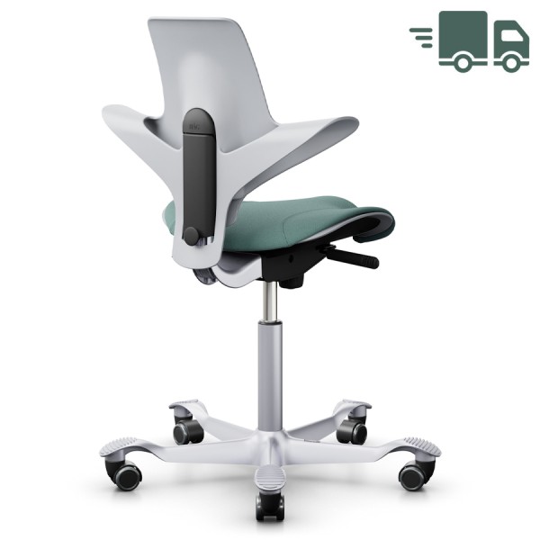 HAG CAPISCO PULS 8020 | Hellgrau | Bezug seagreen | Gestell silber