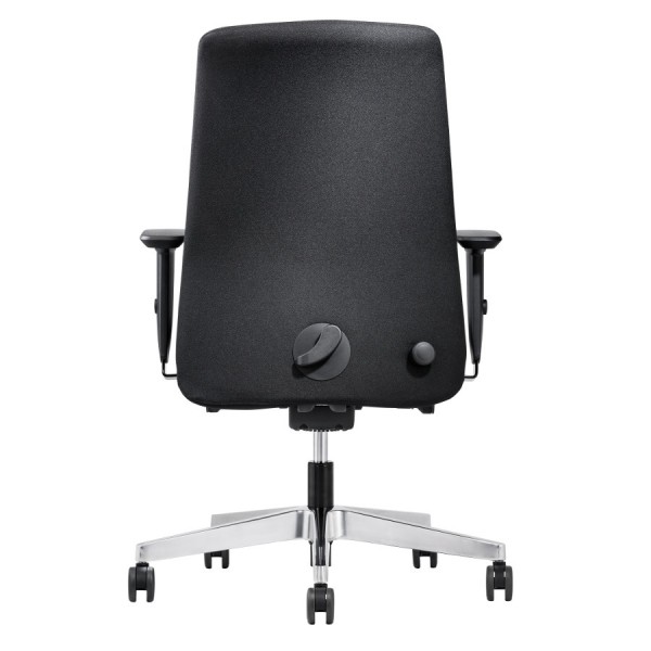 Interstuhl E202 Ergonomic - Rückansicht