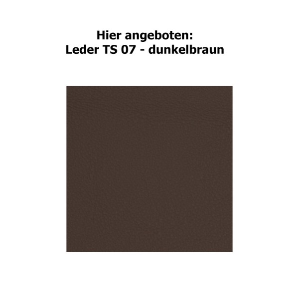 Farbkarte TS 07 - dunkelbraun