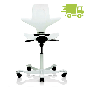 Hag Capisco Puls 8010 weiss schnell geliefert Hag Capisco Puls 8010 weiss schnell geliefert