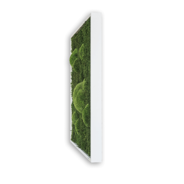 styleGREEN WALD- UND KUGELMOOSBILD 140X40 cm