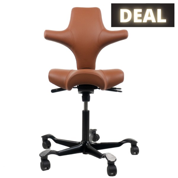 HAG CAPISCO 8106 | Leder Paloma Sonderfarbe coffee | Gestell schwarz günstig online kaufen