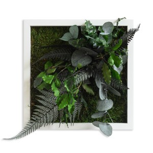 Stylegreen Pflanzenbild 22x22 cm - neues Design - Frontansicht Stylegreen Pflanzenbild 22x22 cm - neues Design - Frontansicht