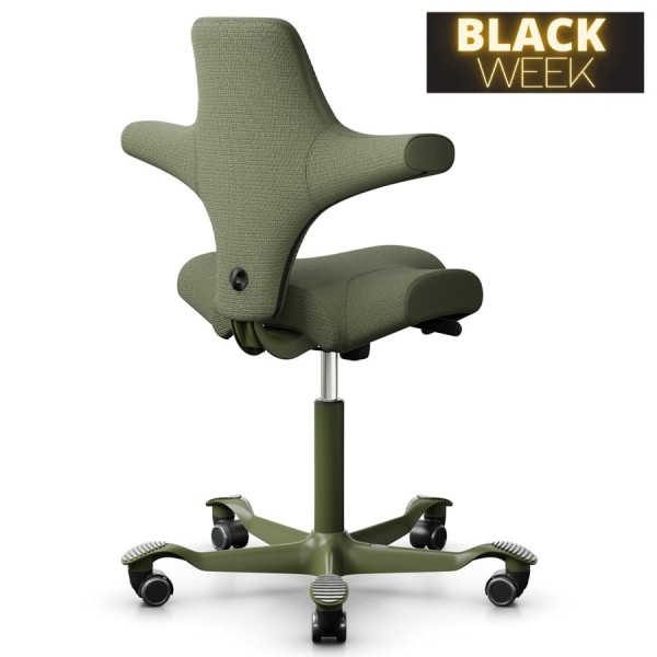 HAG CAPISCO 8106 | Designstoff Sirdal grün | Gestell Moss grey günstig online kaufen