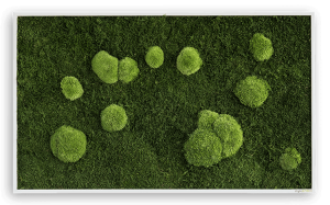 styleGREEN WALD- UND KUGELMOOSBILD 100X60 cm styleGREEN WALD- UND KUGELMOOSBILD 100X60 cm