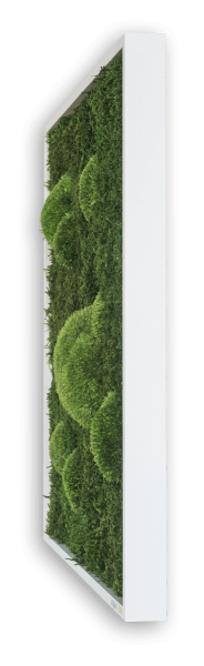 styleGREEN WALD- UND KUGELMOOSBILD 100X60 cm