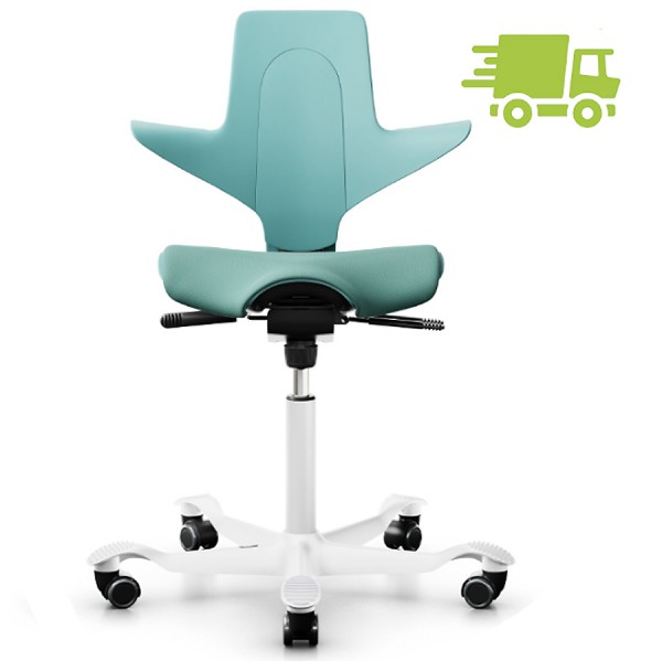 HAG Capisco Puls 8020
