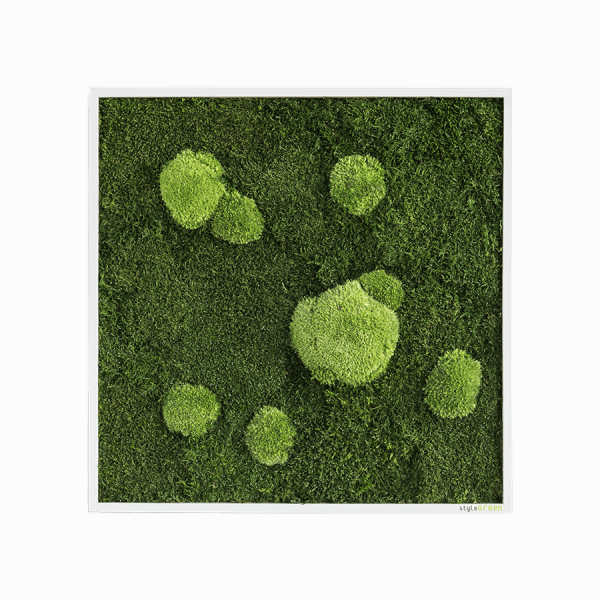MOOSBILD: WALD- UND KUGELMOOSBILD 55X55 CM