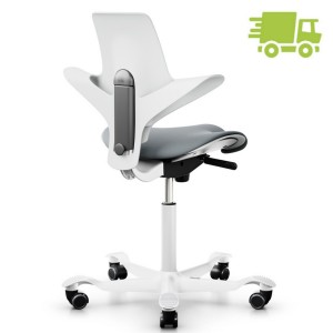 HAG Capisco Puls 8020 white Edition mit Bezug hellgrau HAG Capisco Puls 8020 white Edition mit Bezug hellgrau