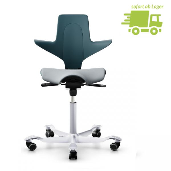 HAG Capisco Puls 8020 petrol silber mit grauer Sitzflächenmatte