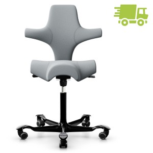 HAG Capisco 8106 Xtreme hellgrau mit Gestell Alu schwarz HAG Capisco 8106 Xtreme hellgrau mit Gestell Alu schwarz