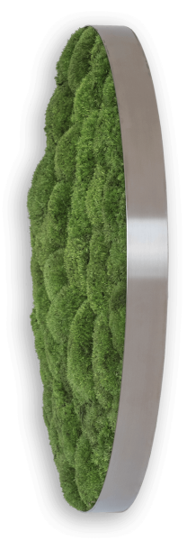 styleGREEN MOOSBILD: KUGELMOOS-ELLIPSOID 54CM