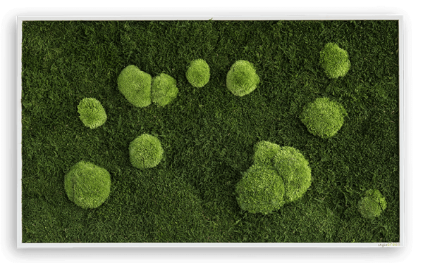 styleGREEN WALD- UND KUGELMOOSBILD 100X60 cm