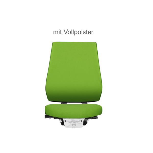 Dauphin X-CODE XC 53205 PURE SOFT mit Polsterrückenlehne grün